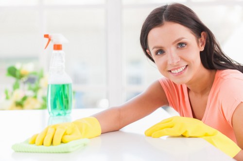 Professional stain removal service for carpets and upholstery in SW12 homes