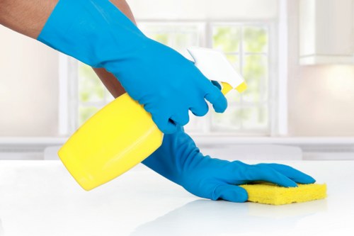 Professional gutter cleaning for SW12 homes with mature trees nearby