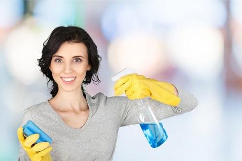 Cleaning equipment used for deep carpet extraction in SW12