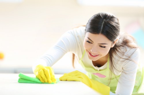 Deep cleaning treatment for pet odour in a Clapham South flat