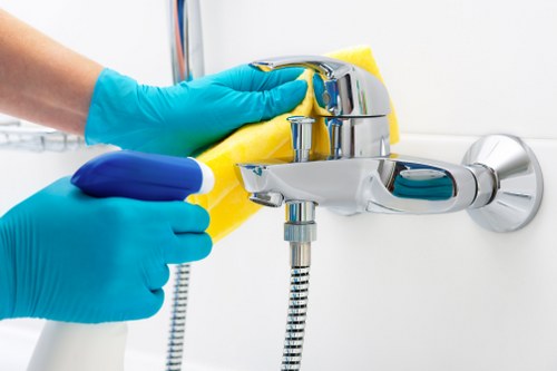 End of tenancy cleaning details in a SW12 flat bathroom