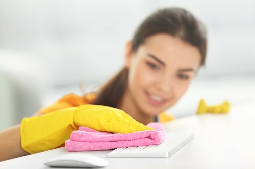 Bathroom and surface cleaning during a move in clean