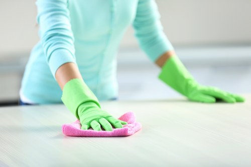 Professional deep cleaning checklist for SW12 customers