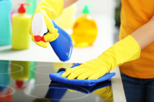 Odour removal for a pet-soiled sofa in Balham