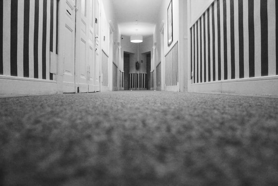 Balham High Road carpet cleaning local guide